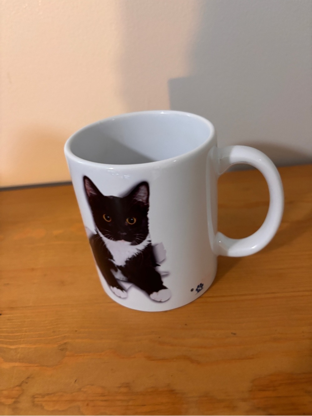 Black and White Cat Print Ceramic Mug